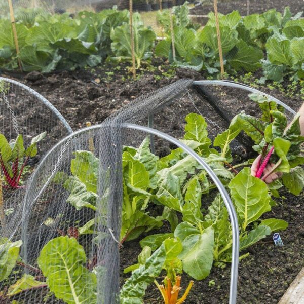 High-quality Galvanized Zinc Iron Greenhouse Hoop with Easy-Grip Clips